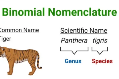 Binomial Nomenclature – The Universal Language of Biology